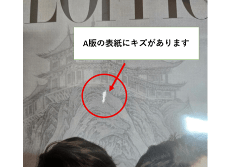 👆訳アリ値引き・お買い得👆【丁禹兮】时装女士L'OFFICIEL2025年1月 A+B版 カード10枚付き※A版の表紙にキズがあるため値下げします！
