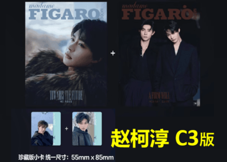 【赵柯淳・马小宇】费加罗 Madame FIGARO MODE 2025年2月