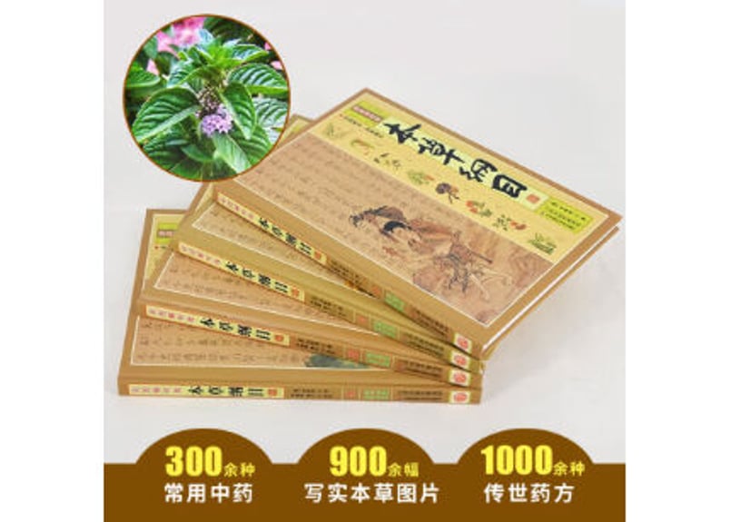 歴史-医学書】本草纲目 4冊セット | E