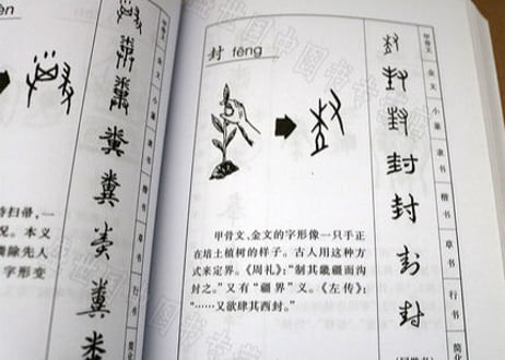 汉字演变五百例续编