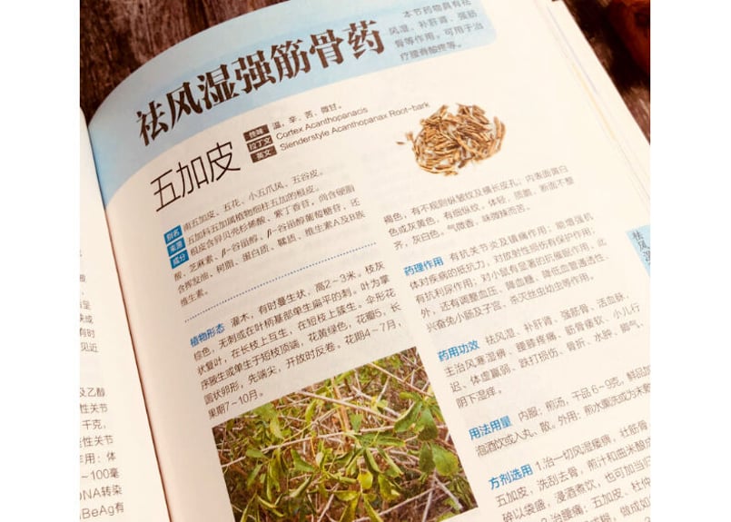 漢方薬・専門書】中草药全图鉴| E'GA書店