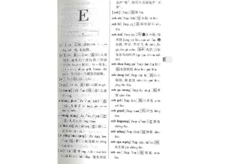 【辞典】中国雲南省方言　『佤汉大词典』