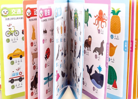 小学・中学・高校生におすすめ 【趣威文化 第1世代】2カ国語(中・英)   タッチペン＆図鑑　ピンイン付き  ネイティブの発音がきけて自然な発音が身につく 紹介動画有👆