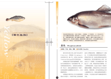 菜市场鱼图鉴