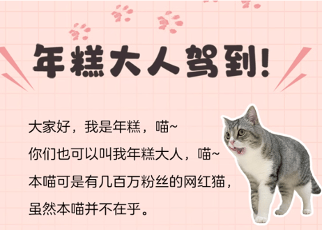 年糕日记 もちまる日記