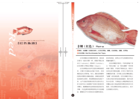 菜市场鱼图鉴