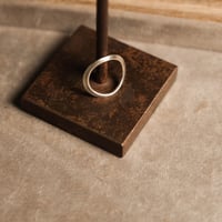 AVM "VINTER RING"