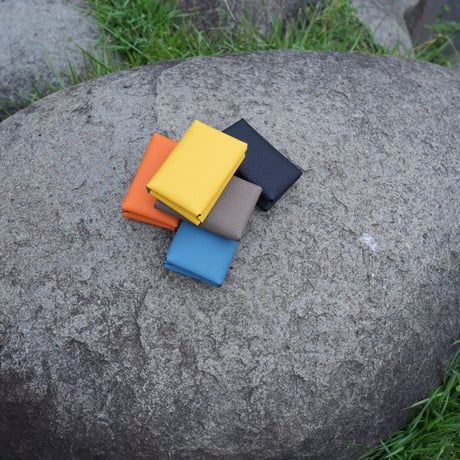 ITTI HERRIE CARD CASE 40 / DIPLO FJORD