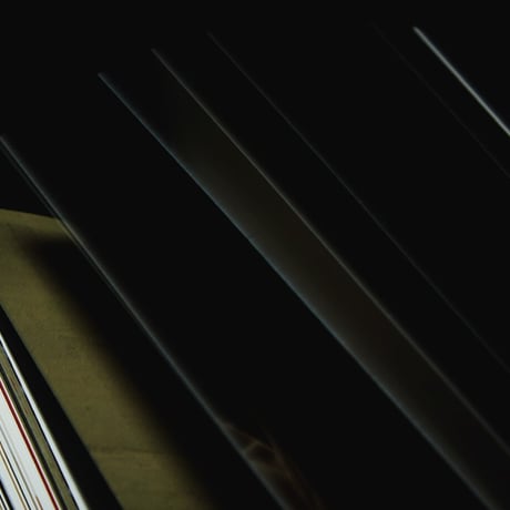 NICENESS  Archive book 2022