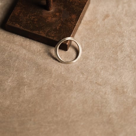 AVM "VINTER RING"