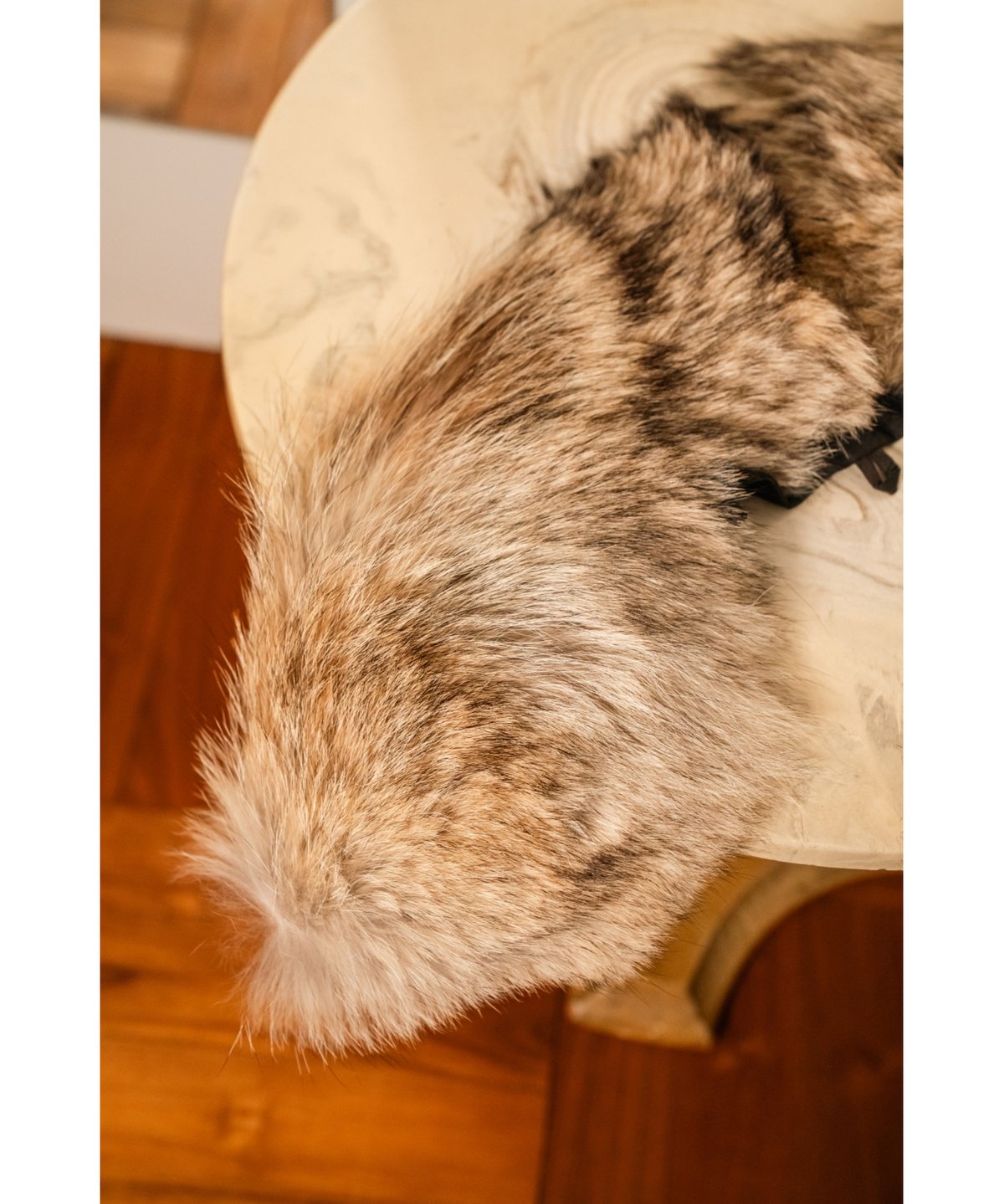 新品　NICENESS COYOTE FUR ナイスネス COYOTE – NICENESS
