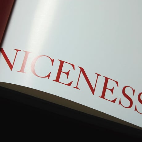 NICENESS  Archive book 2022