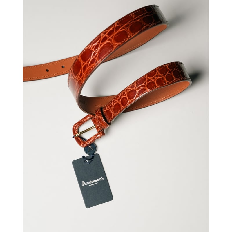 Anderson's Ex. WRAPPED-BUCKLE CROCODILE BELT |
