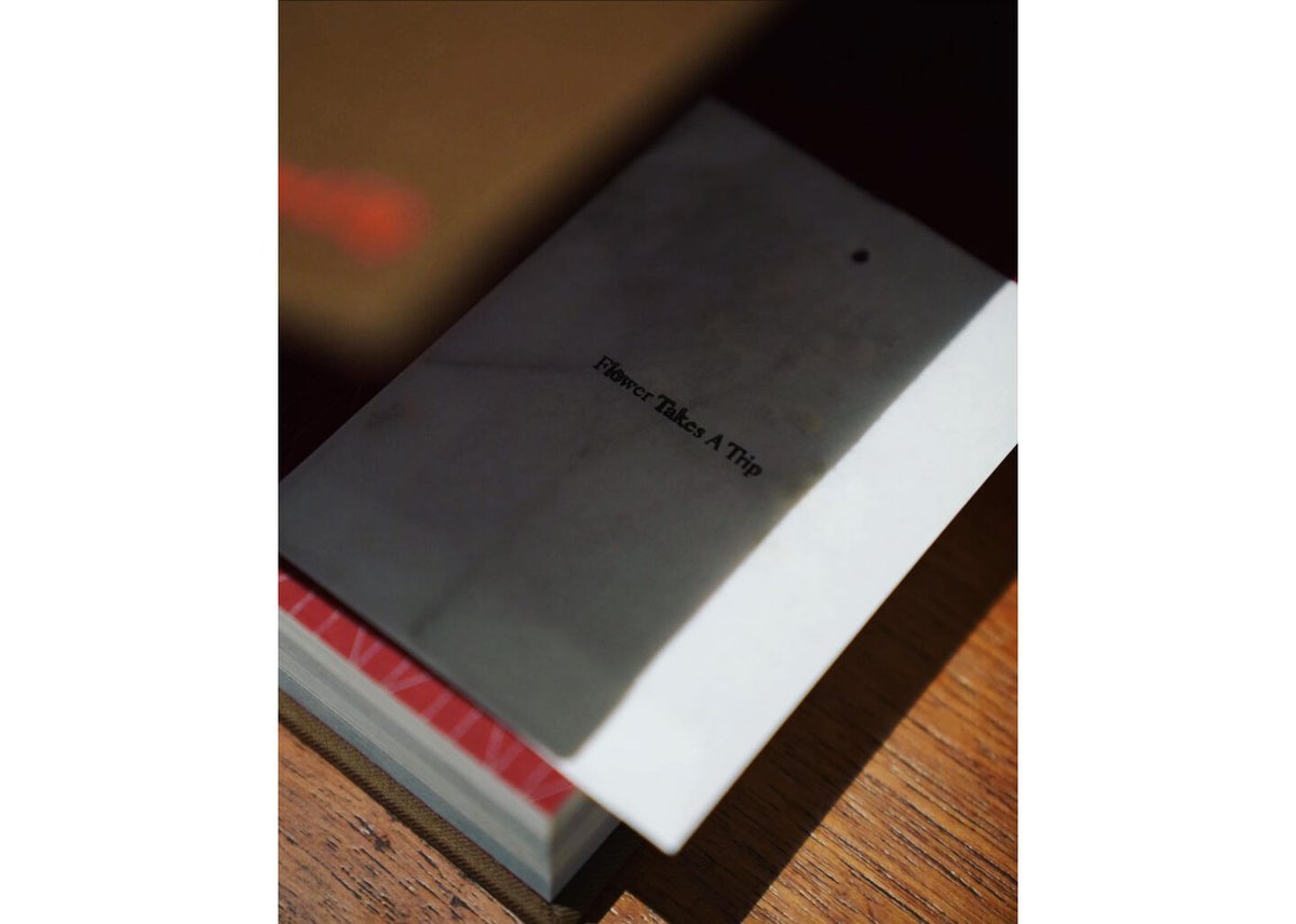 NICENESS Archive book 2022 | MusterWerk