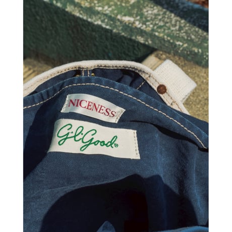 NICENESS L.LESH