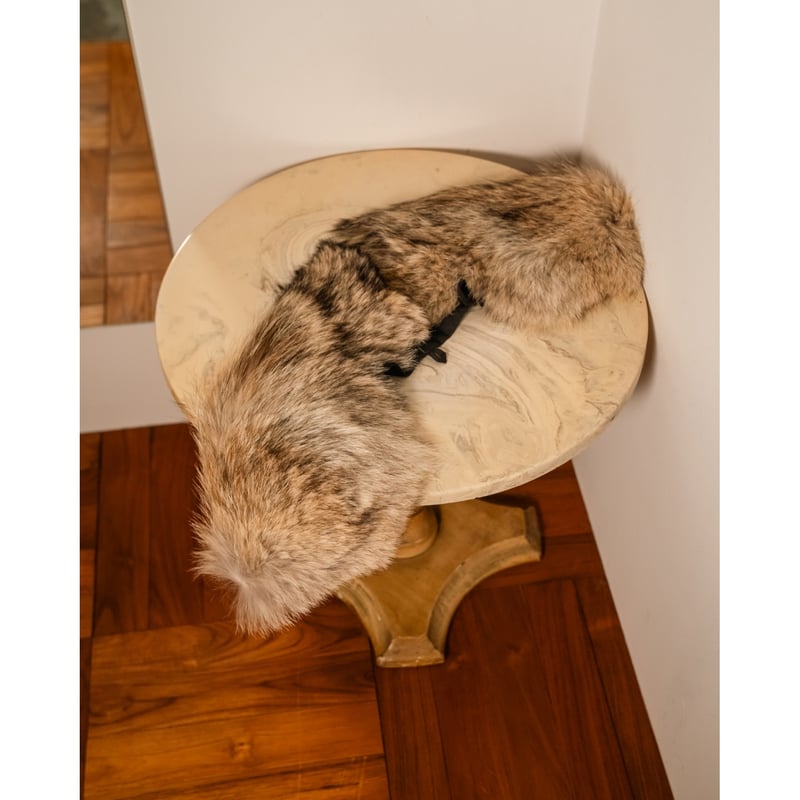 NICENESS COYOTE | MusterWerk