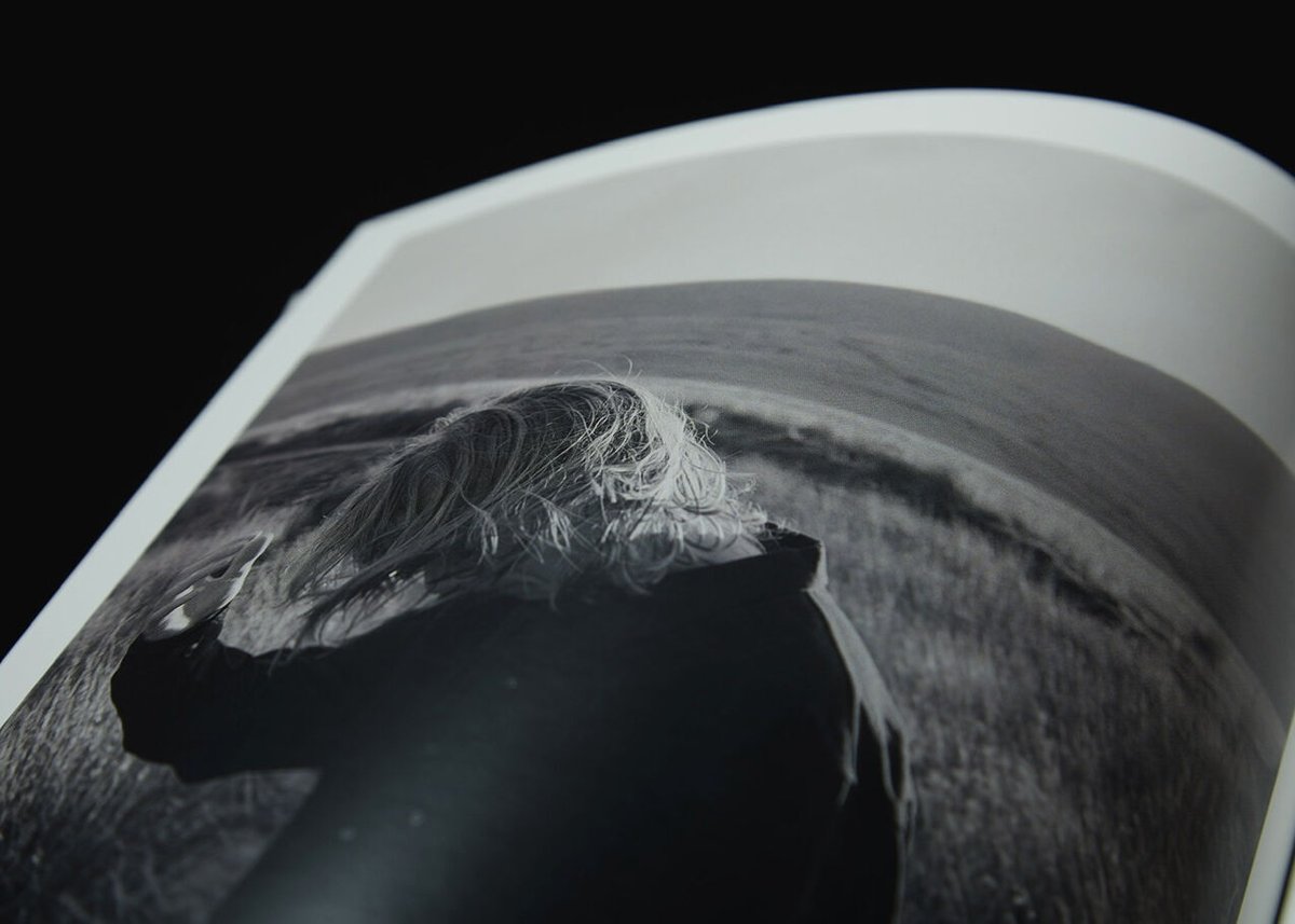 NICENESS Archive book 2022 | MusterWerk