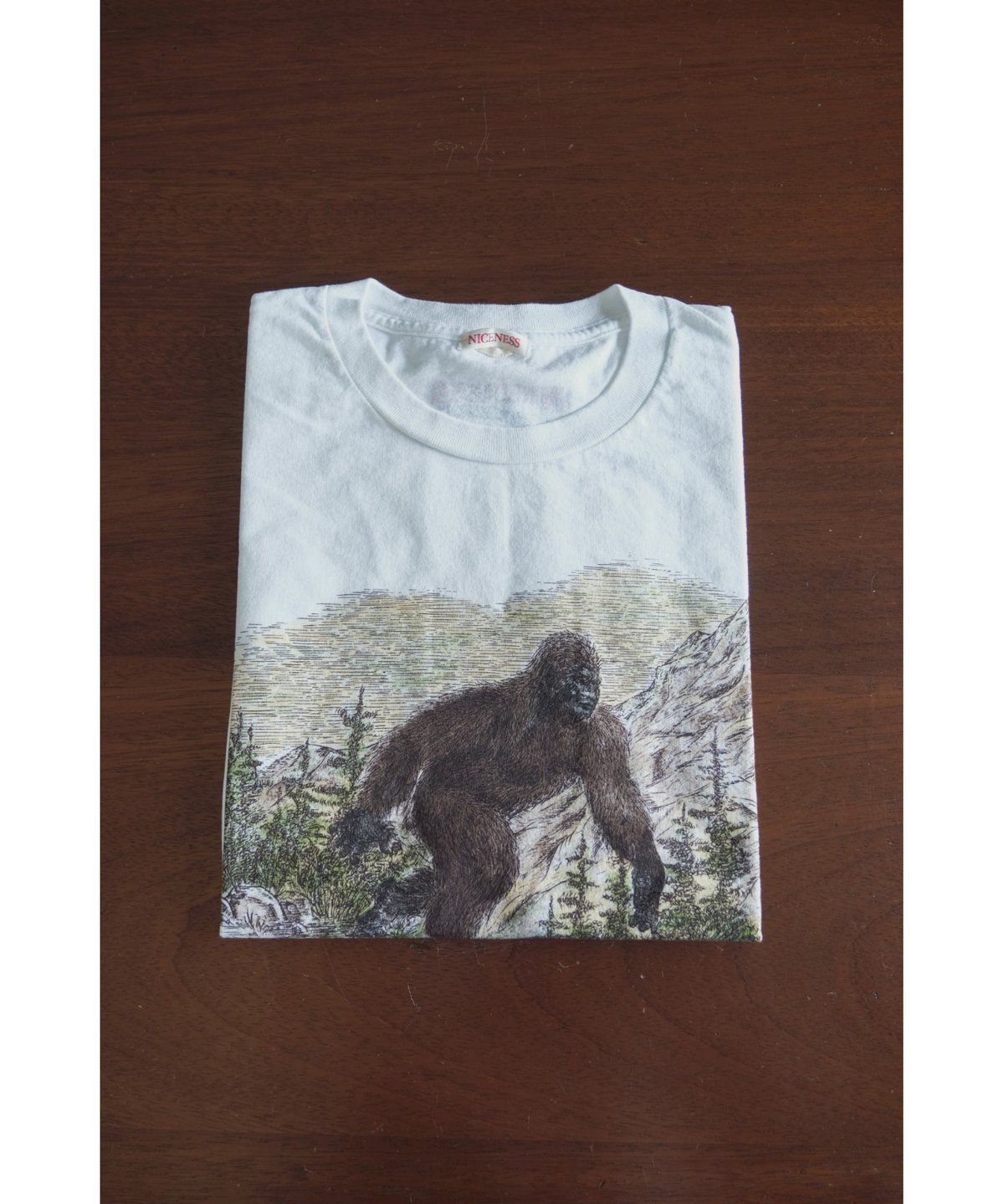 トップス NICENESS 25AW G.BERNARD BIGFOOT M トップス NICENESS 25AW G.BERNARD BIGFOOT M トップス NICENESS 25AW