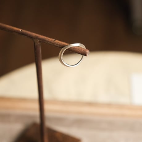 AVM "VINTER RING"