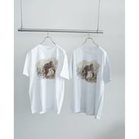 NICENESS BERNARD BIGFOOT