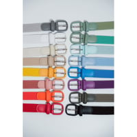 Anderson's Ex. RUBBER MESH BELT "RAINBOW"