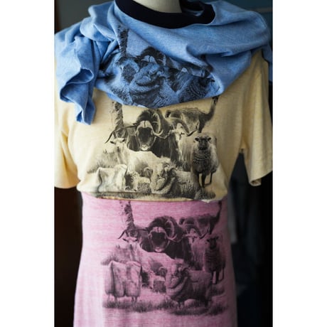 MAATEE&SONS Ex. M＆WOOLEE RINGER TEE (blue)