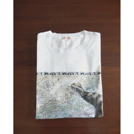 NICENESS BERNARD TSUCHINOKO