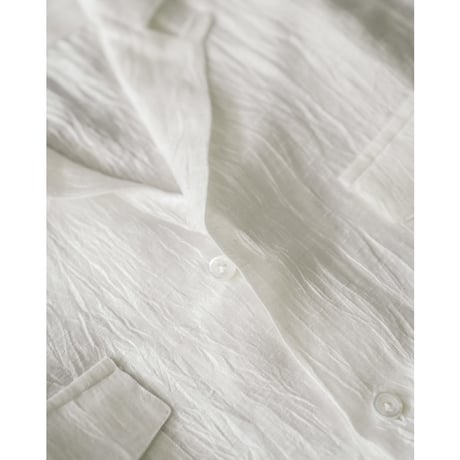 Errico Formicola Ex. ALOHA SHIRTS