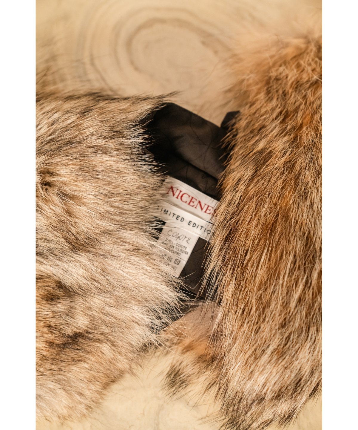 NICENESS COYOTE | MusterWerk