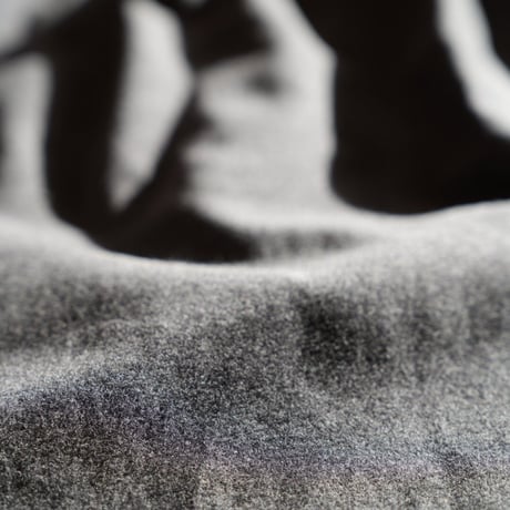 RAKINES Ex. Brushed Moleskin Stand collar shirt