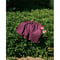 CLASS  \"CCDS07UNI C\" -ULTRA SUEDE SHORT-