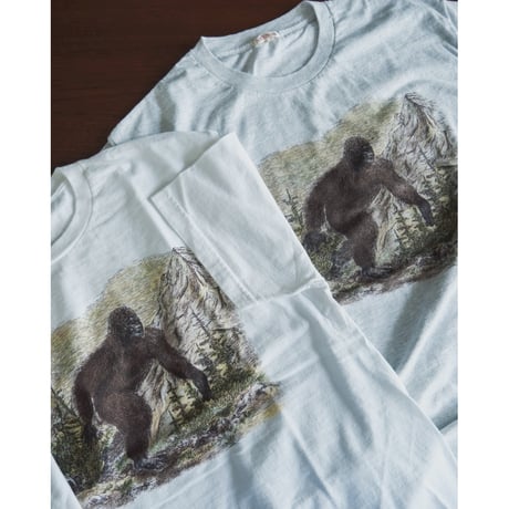 NICENESS BERNARD BIGFOOT