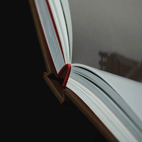 NICENESS  Archive book 2022