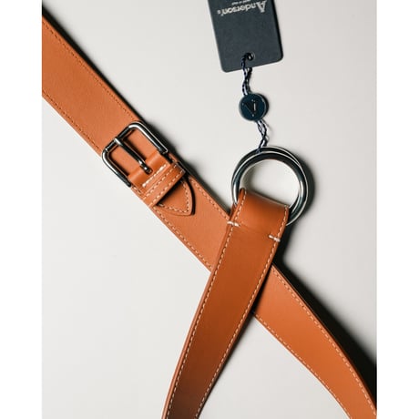 Anderson's Ex. W-BUCKLE RING BELT