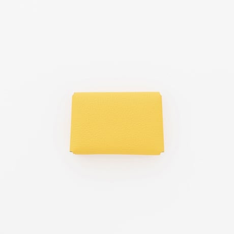 ITTI HERRIE CARD CASE 40 / DIPLO FJORD