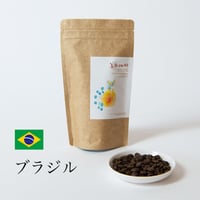 ブラジル 100g