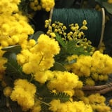 街角花屋 floRalies  STORE