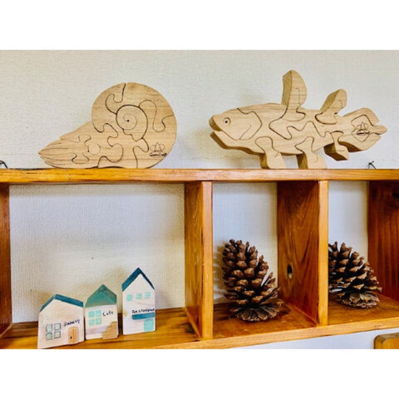 古代魚セット（アンモナイト、シーラカンス） | GREEEN CRAFT