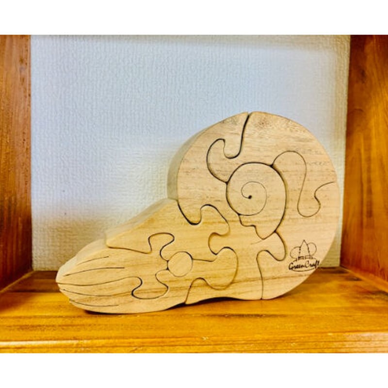 古代魚セット（アンモナイト、シーラカンス） | GREEEN CRAFT