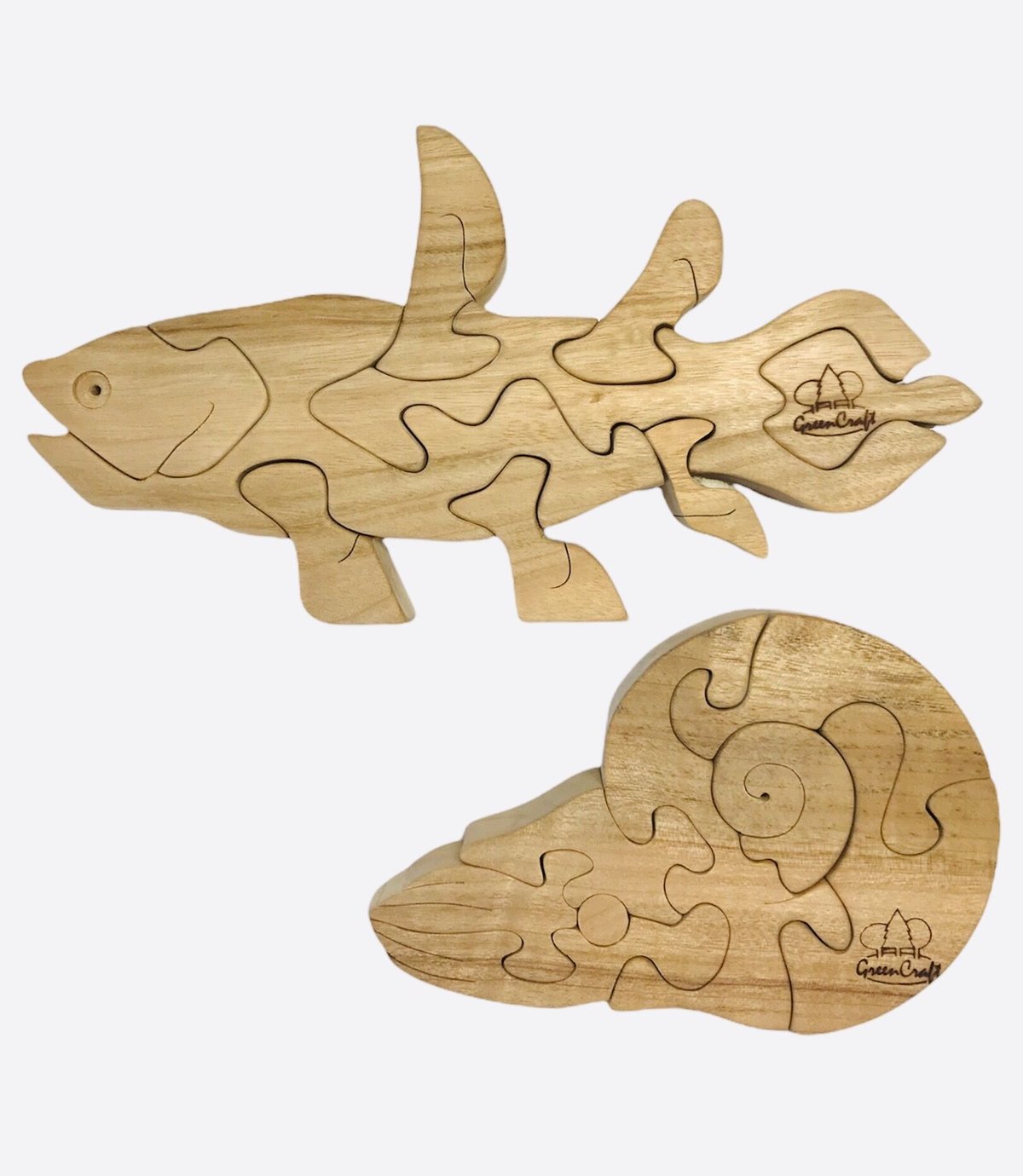 古代魚セット fit=scale-down,w=1200