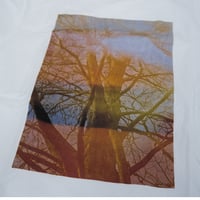 CHELSEAWORKS "Circle" Artshow SHORT SLEEVE