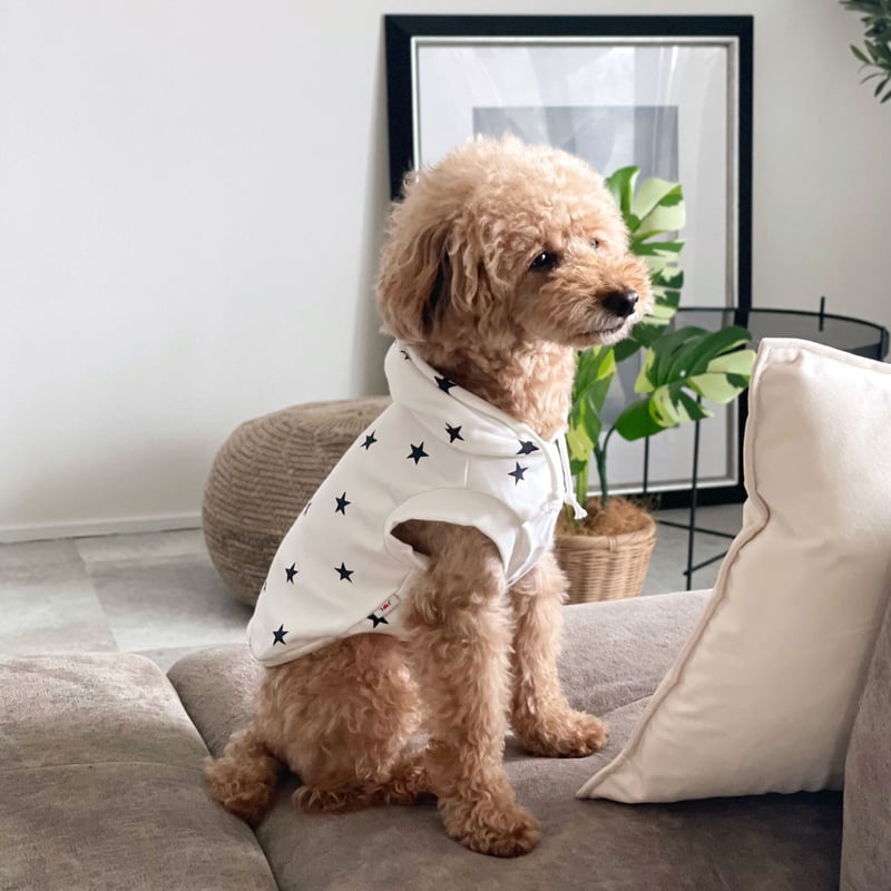 エルドライブ イメージパーカー モノトーンパーカー リトルスター | D&Liebe