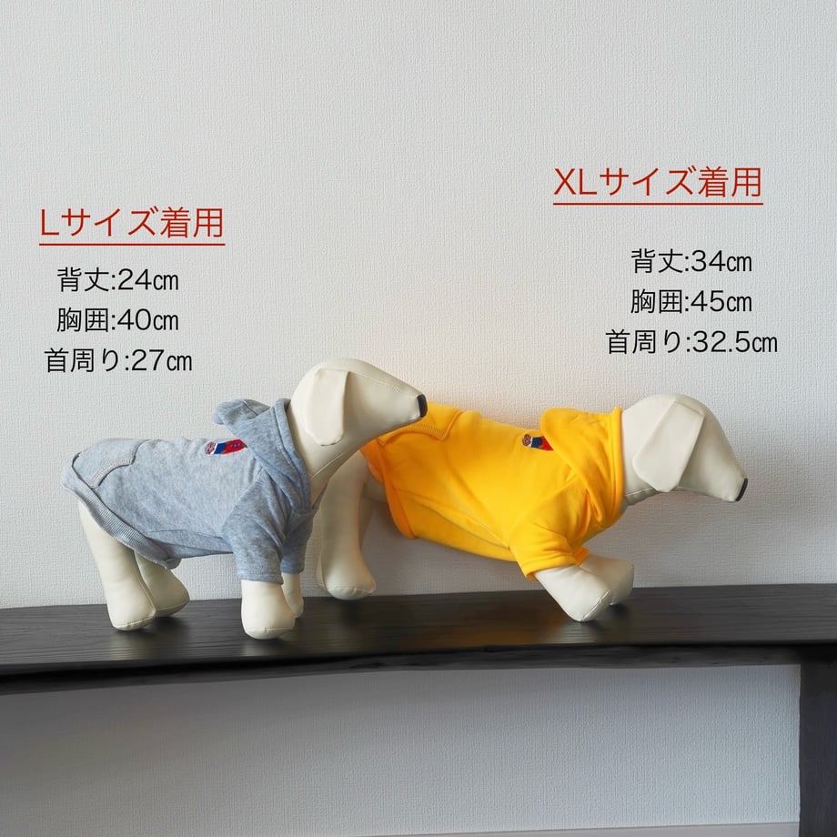 677f859273ce6e086e575b2d