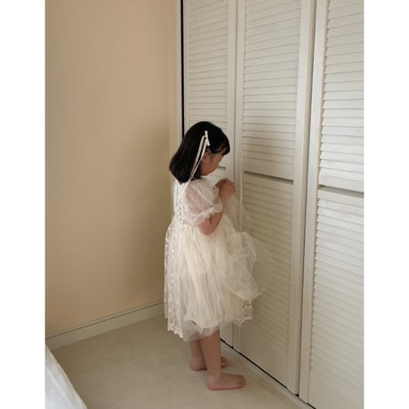 chiffon lace dress
