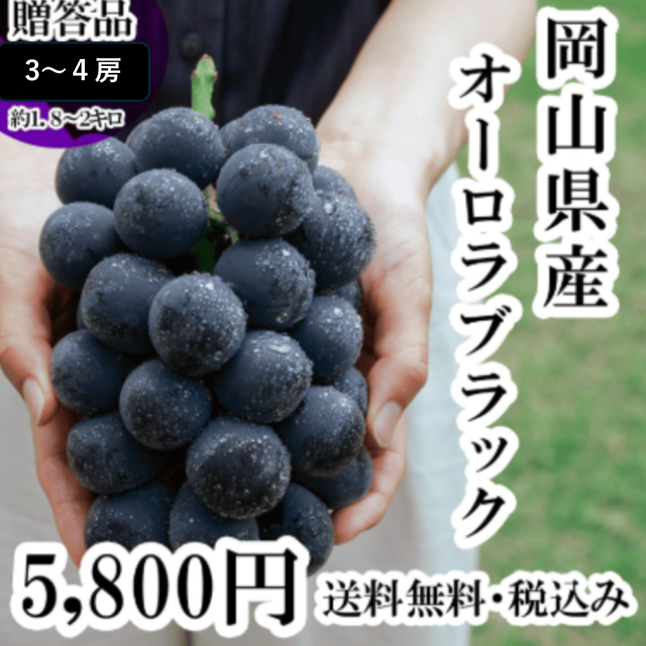 62eb683cac3661579e3f19b3