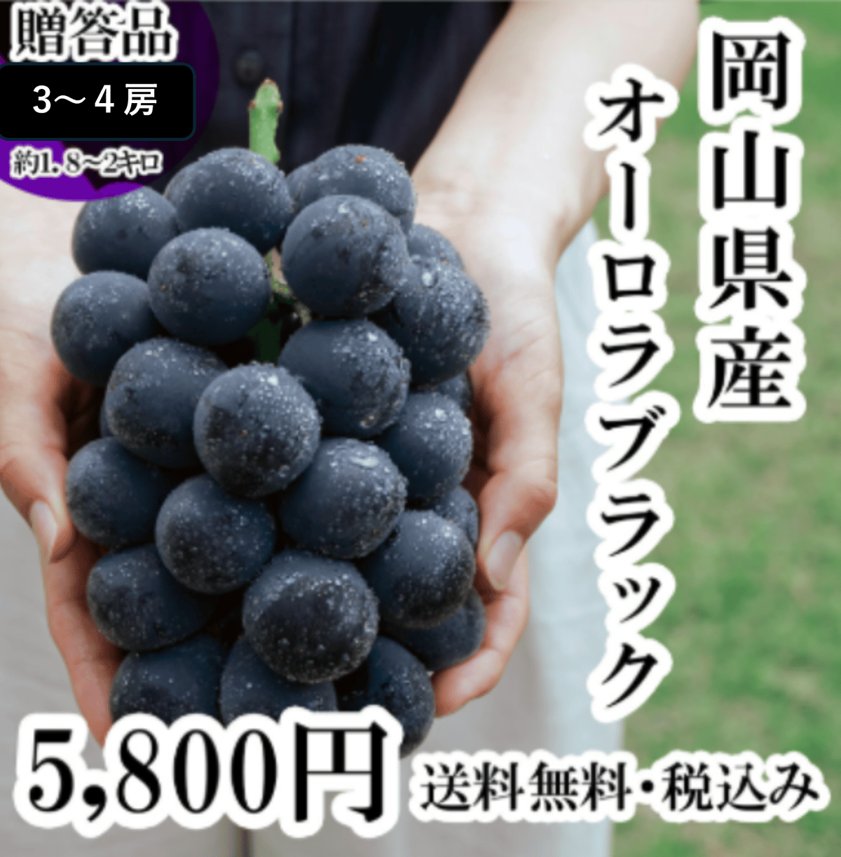 fit=scale-down,w=1200