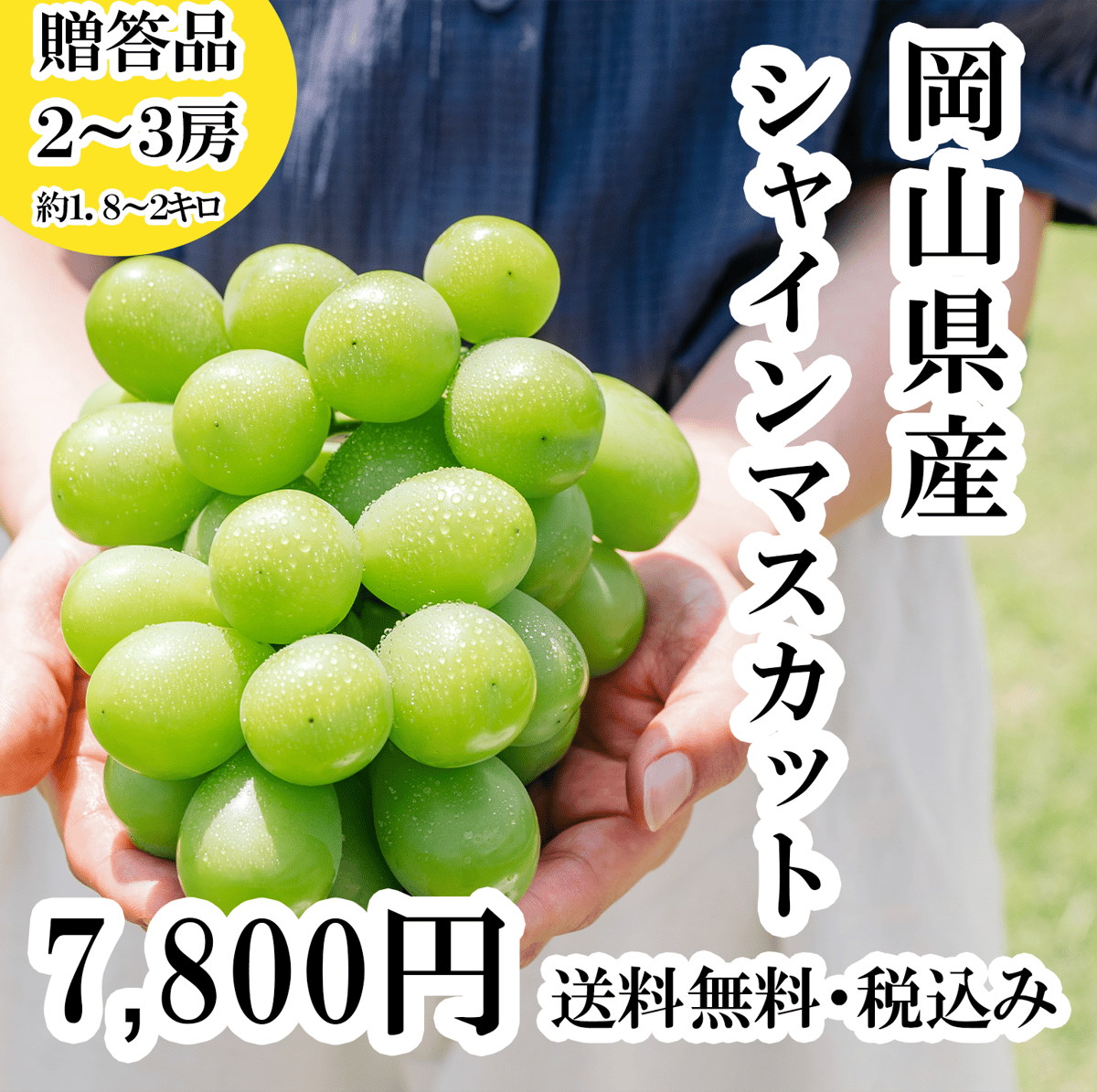 【81%OFF!】 シャインマスカット 岡山県産