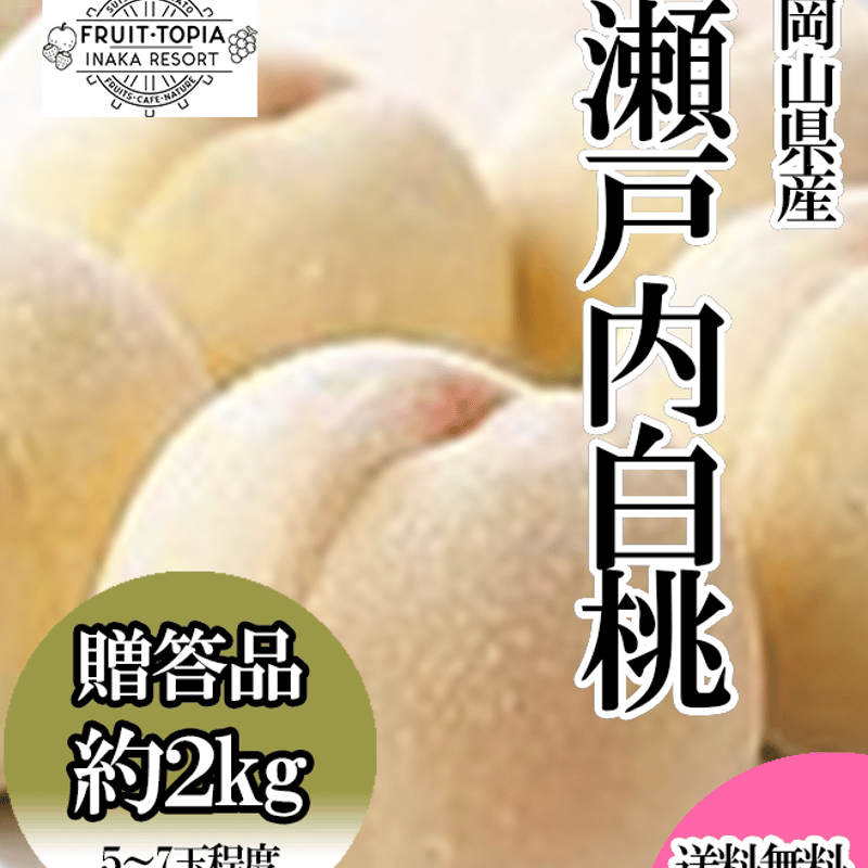 岡山県産「瀬戸内白桃」約2キロ（5～7玉程度）※発送時期8月下旬 | 水車