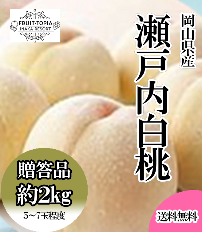 岡山県産「瀬戸内白桃」約2キロ（5～7玉程度）※発送時期8月下旬 | 水車