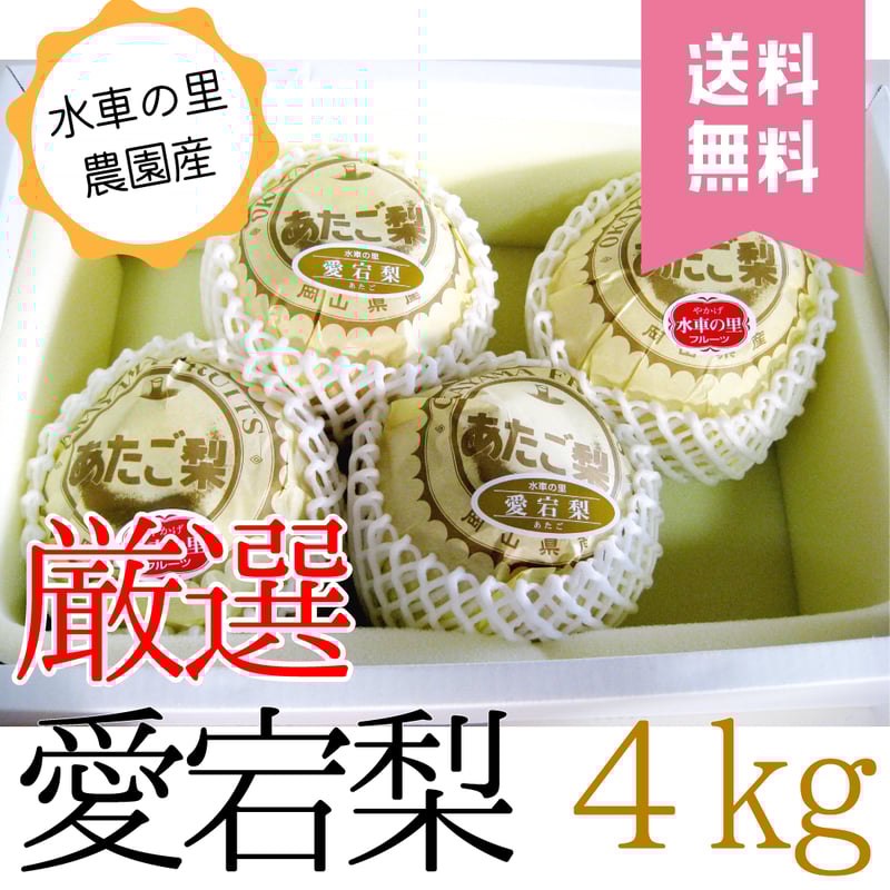 超レアむぎんあじ僅か72本限定☆平成13年 むぎんあじ 箱付 送料無料】愛宕梨 贈答用 4kg箱 | 水車の里フルーツトピア